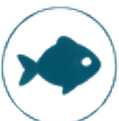 Poisson